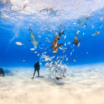 Bahamas