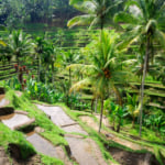 Indonesia