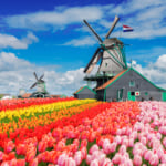 Netherlands