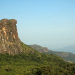 Guinea