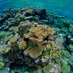 Marshall Islands