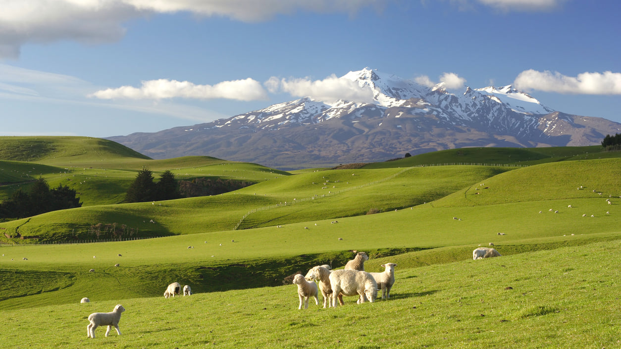 The Incredible Out-of-this-World Scenery of New Zealand