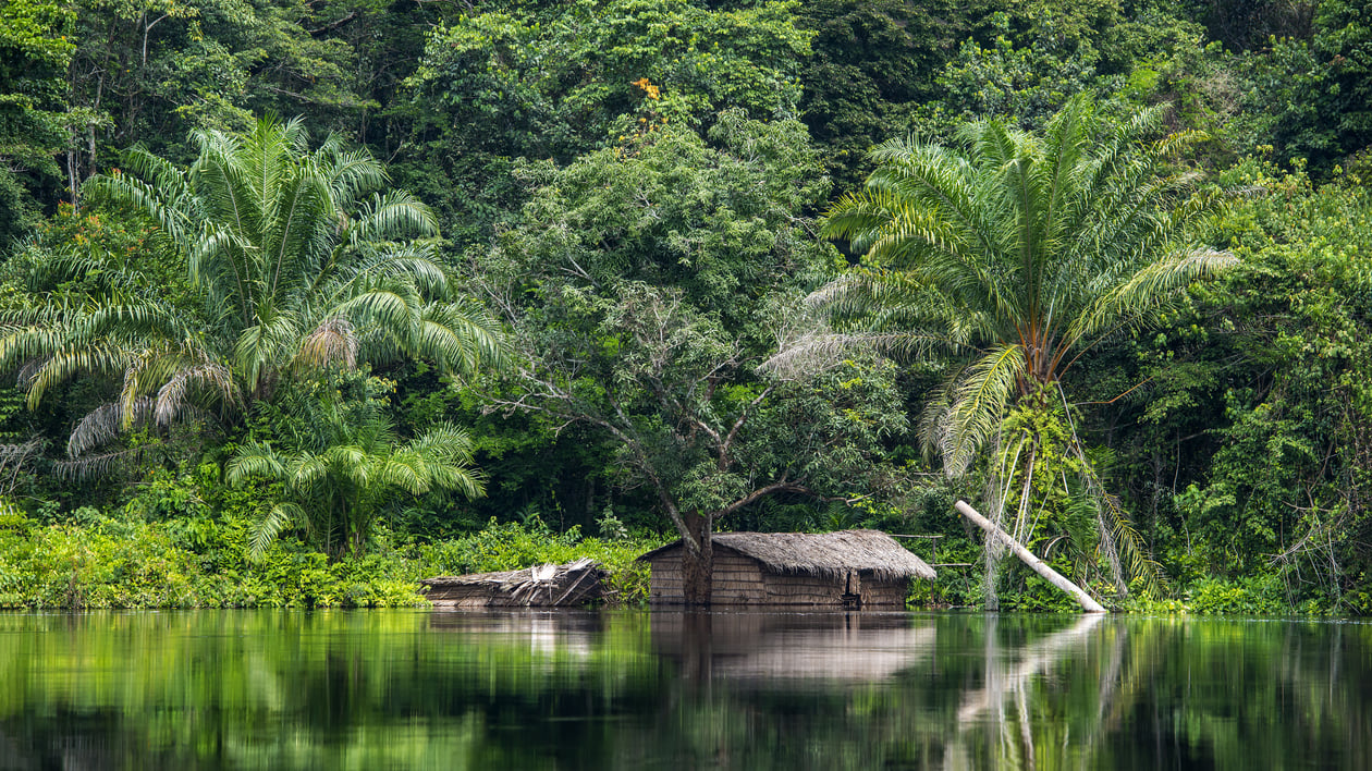 Democratic Republic of the Congo:A Nation Covered by Expansive Rainforests and Lined by Gushing Rivers