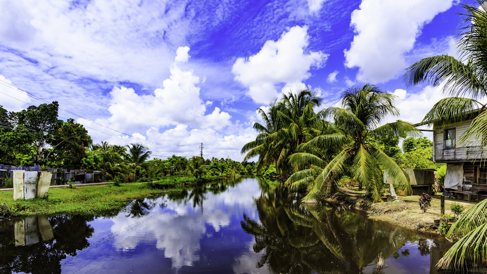 Suriname: 10 Must-see Attractions in Suriname