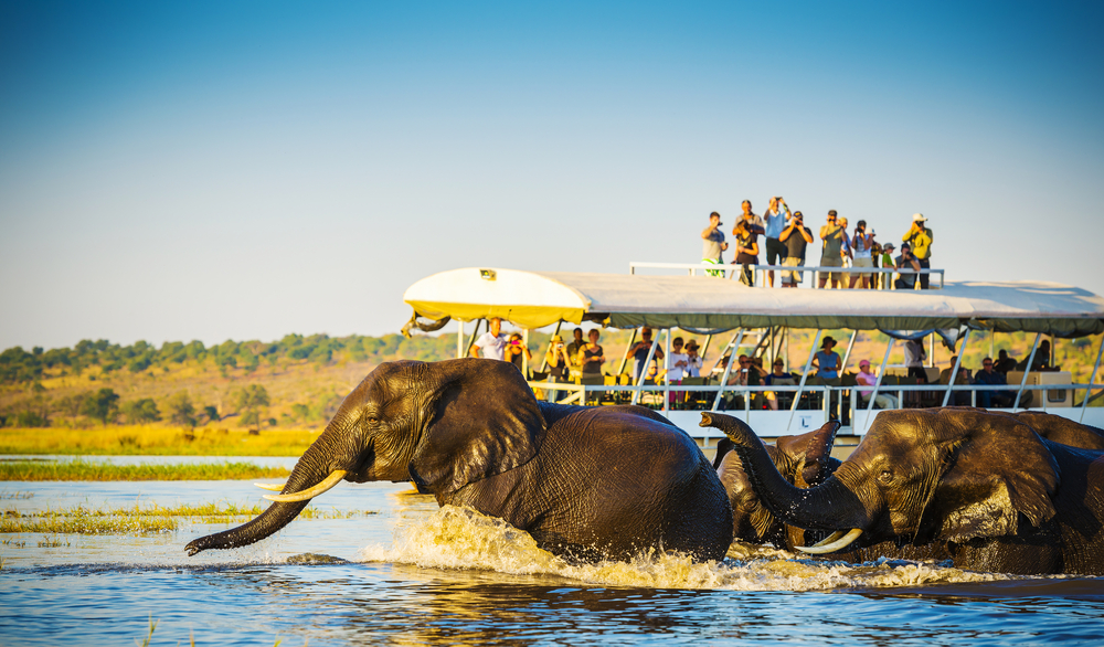 Botswana:A Fantastic Piece of African Wildlife