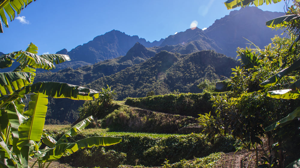 Reunion：An Amazing Island Where Tourists Can Go Sightseeing Around Volcanoes and Sample Delicious Creole Cuisine