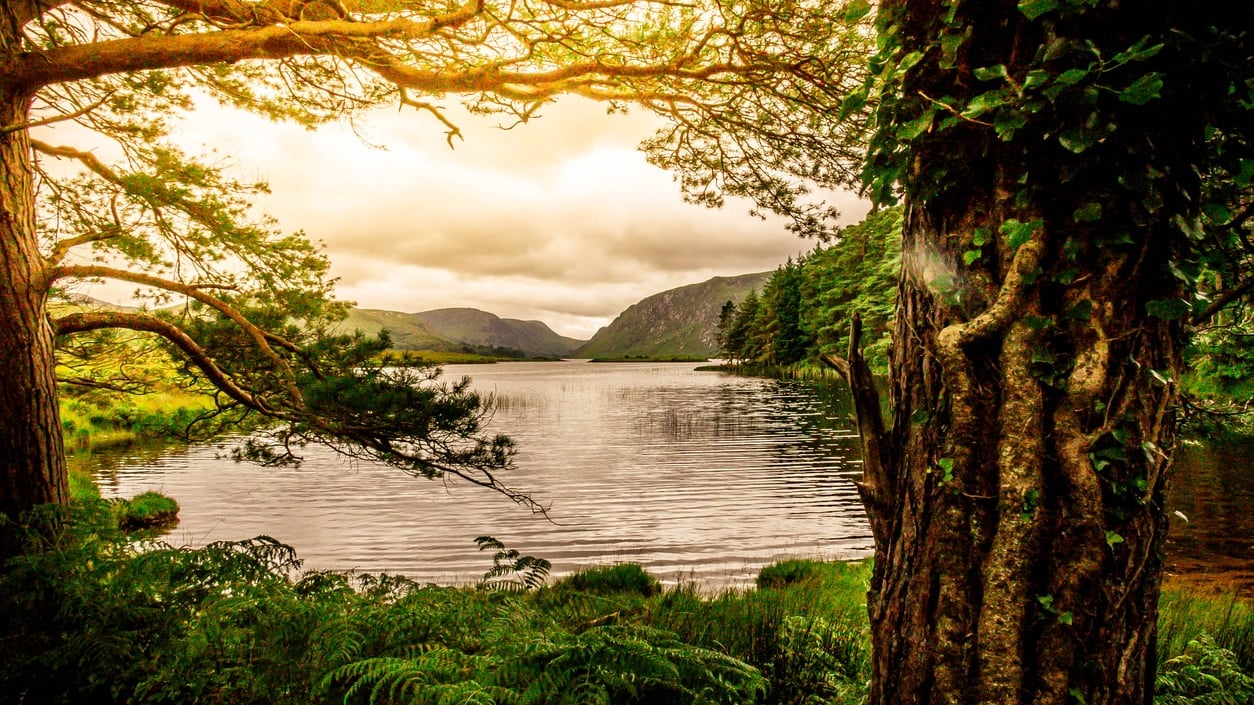 Killarney:A Scenic Provincial Life of Tranquil Lakes and Lush Woodlands