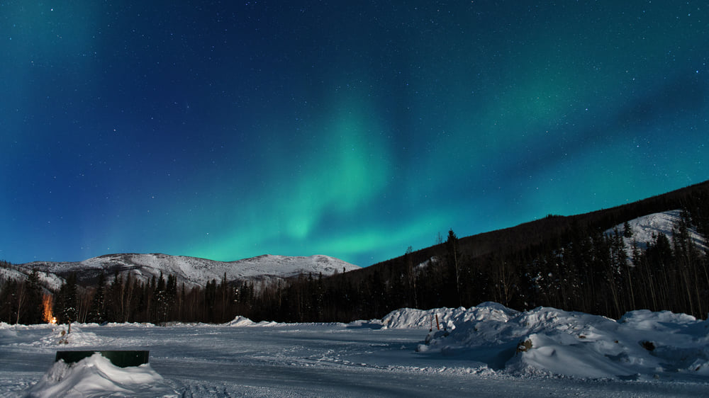 Fairbanks：Witness The Northern Lights, Touch Arctic Pole and Dance with Reindeer
