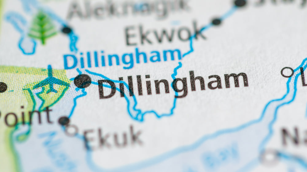 Dillingham：Call for Wildlife Lovers & Enthusiasts