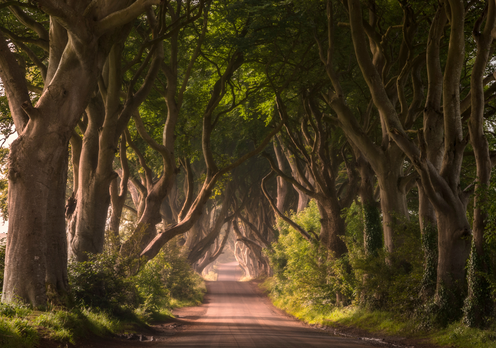 Ready for the Last Season of Game of Thrones? Here’s Our Roundup of the Most Beautiful Filming Locations