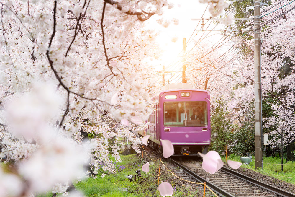 Things to Do in Kyoto Other Than Visiting Temples or Shrines aiueo